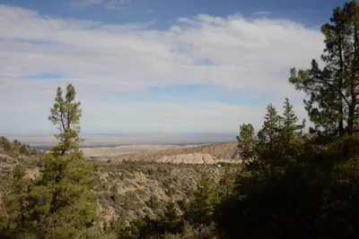 DSC_6251 (Large).JPG